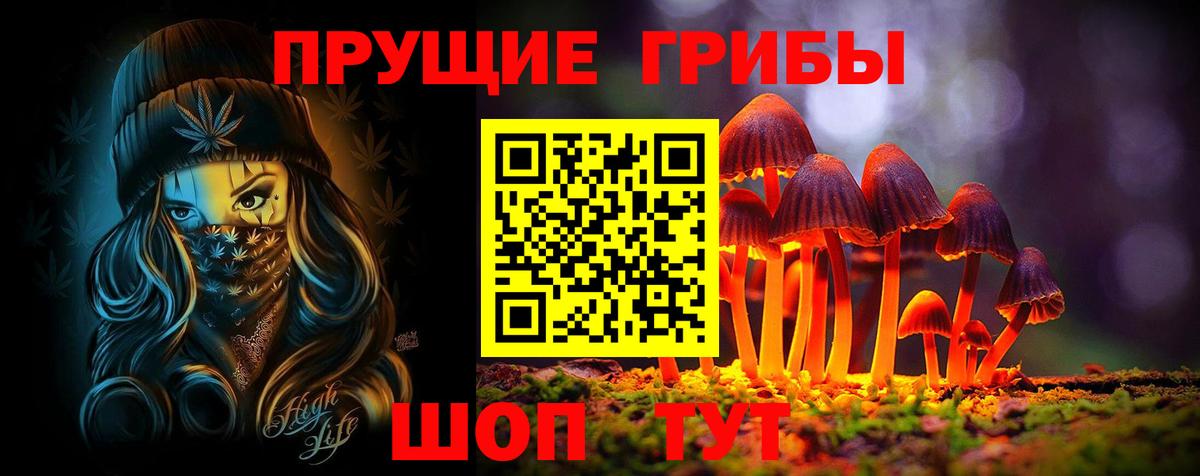 Псилоцибиновые грибы прущие грибы Екатеринбург